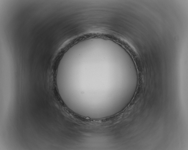 X0000112370968200908131251