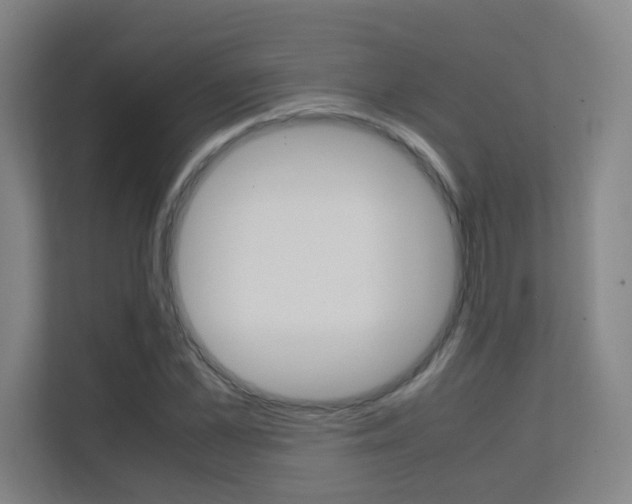X0000112370973200908131251