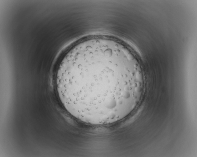 X0000112370974200908131251