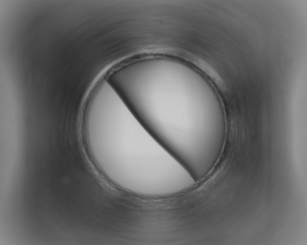 X0000112370976200908131251