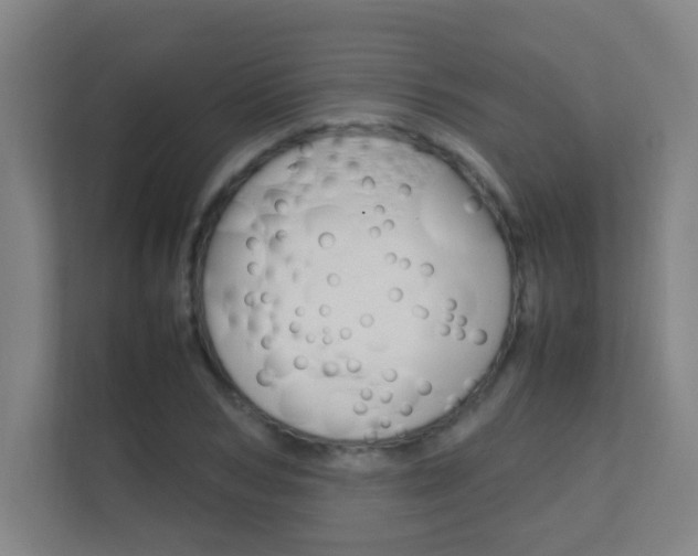 X0000112370978200908131251