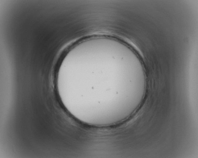 X0000112370979200908131251