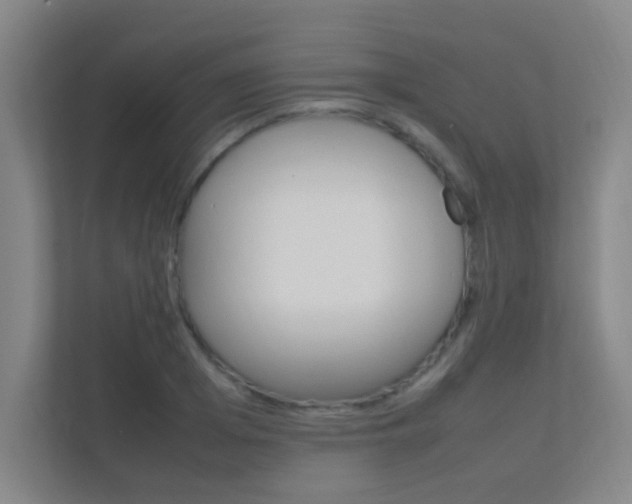 X0000112370985200908131251
