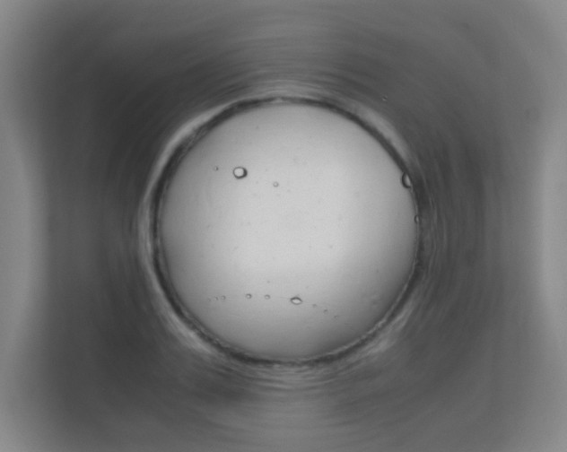 X0000112370987200908131251