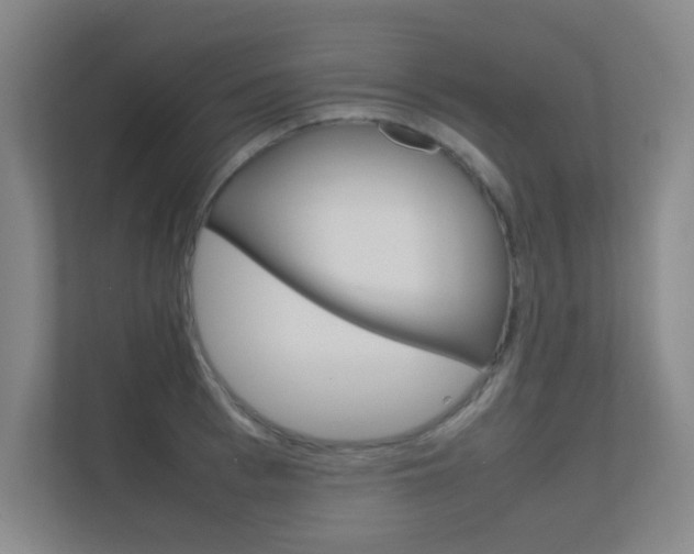 X0000112370993200908131251