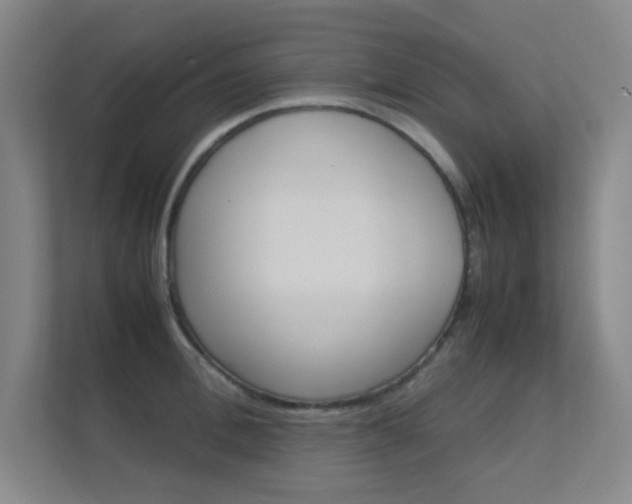 X0000112370996200908131251