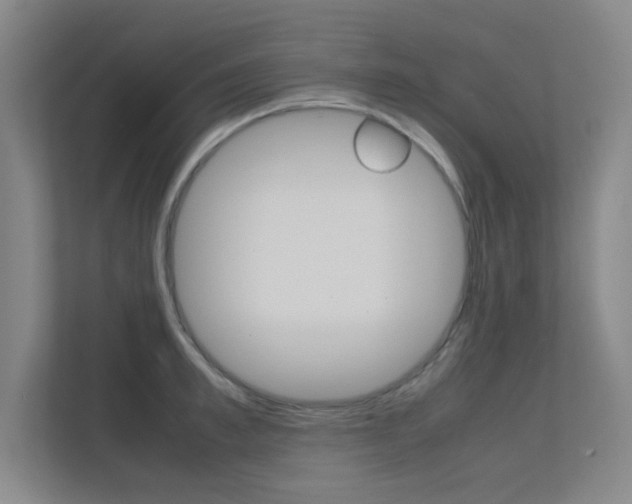 X0000112370997200908131251