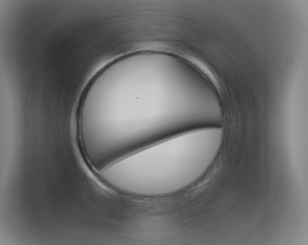 X0000112370999200908131251