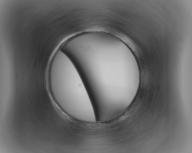 X0000112371000200908131251