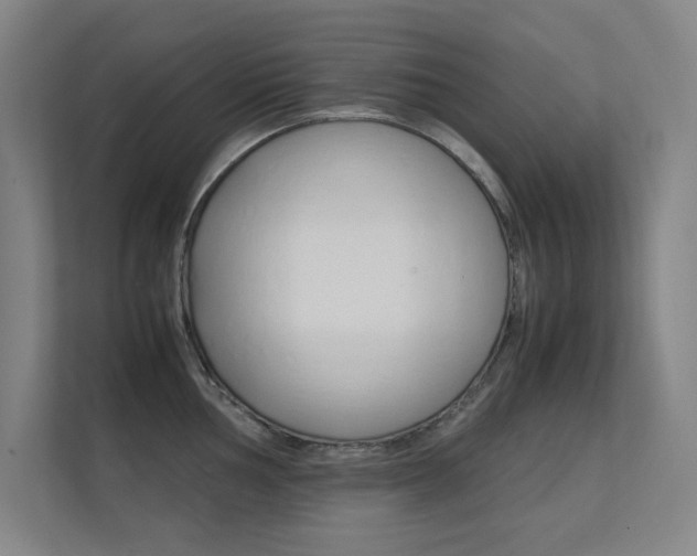 X0000112371002200908131250