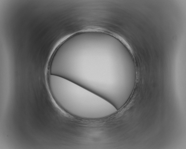 X0000112371003200908131250