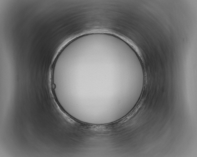 X0000112371006200908131250