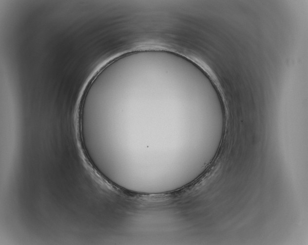 X0000112371008200908131250