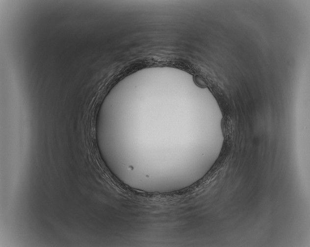 X0000112371009200908131250