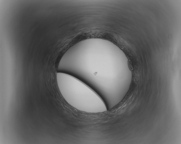 X0000112371010200908131250