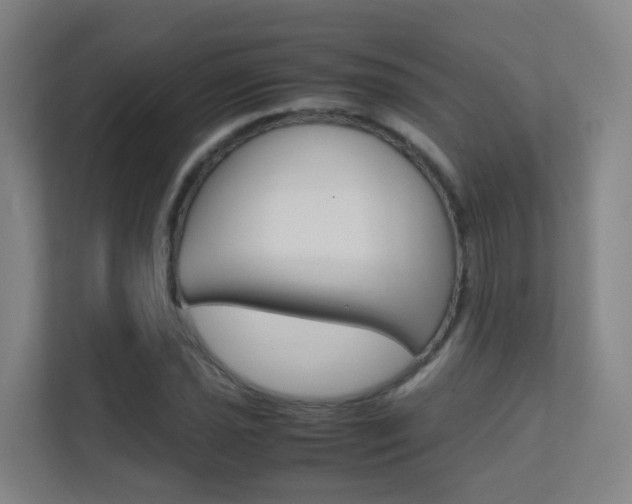X0000112371021200908131250