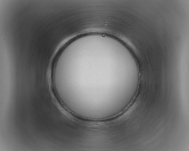 X0000112371030200908131250