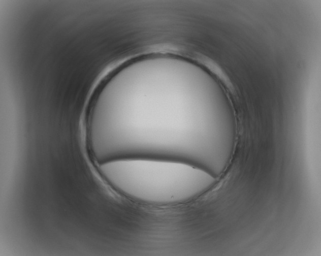 X0000112371032200908131250