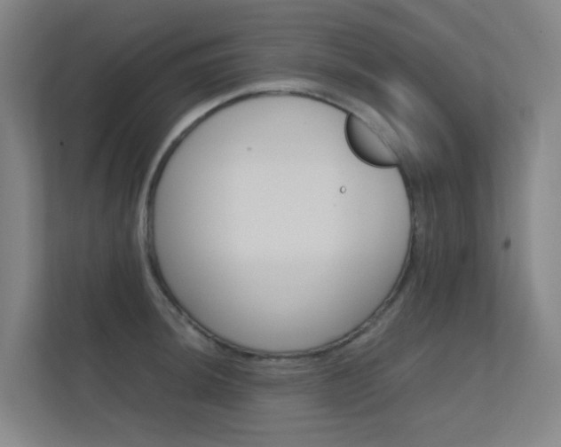 X0000112371044200908131250