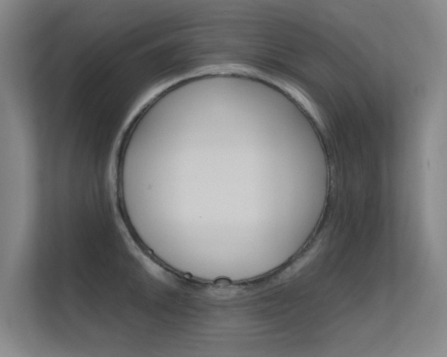 X0000112371046200908131250