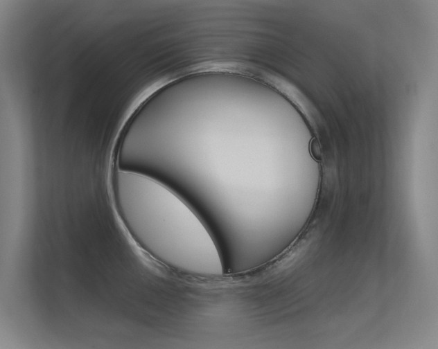 X0000112371050200908131250