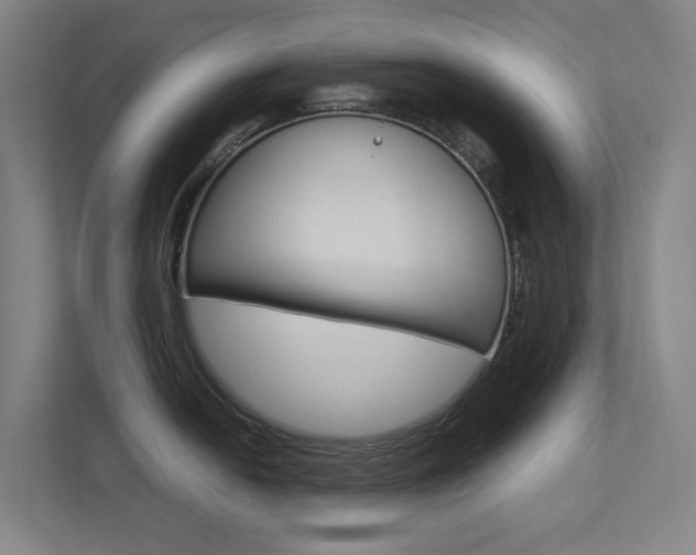 X0000112371054200908131250