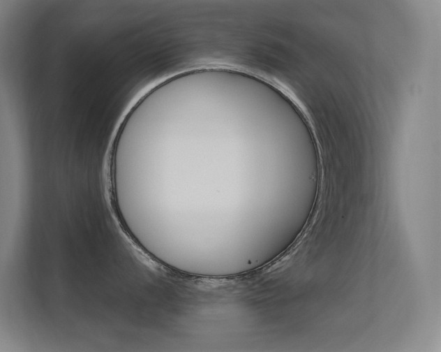 X0000112371056200908131250