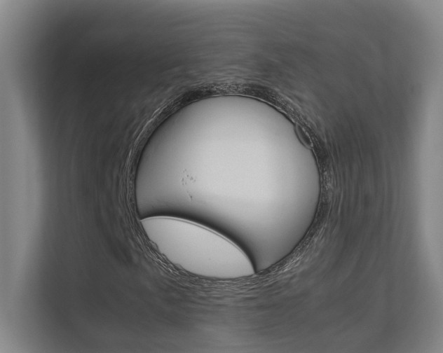 X0000112371057200908131250