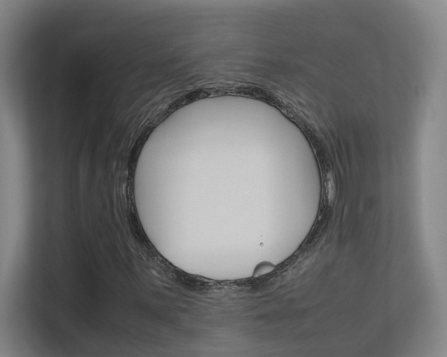 X0000112371059200908131250