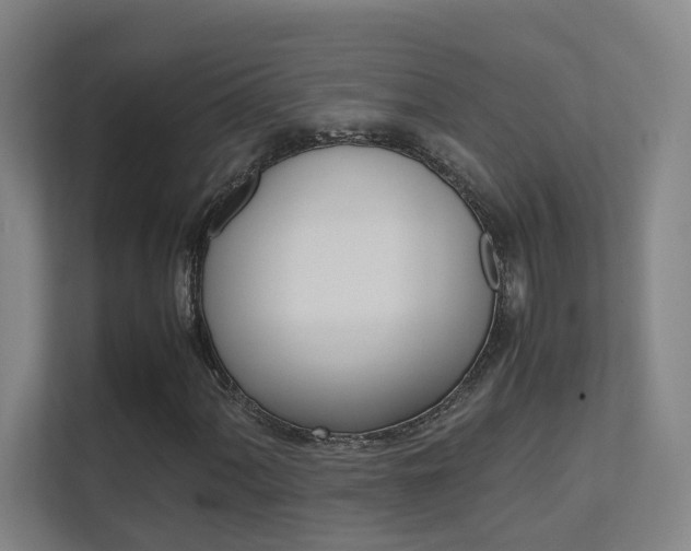 X0000112371060200908131250