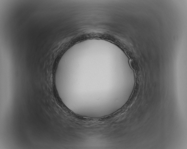 X0000112371061200908131250