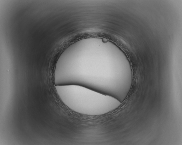 X0000112371062200908131250
