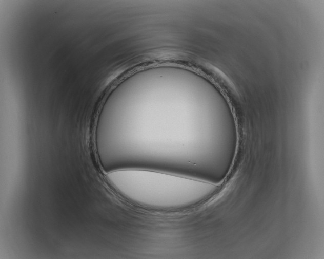 X0000112371065200908131250