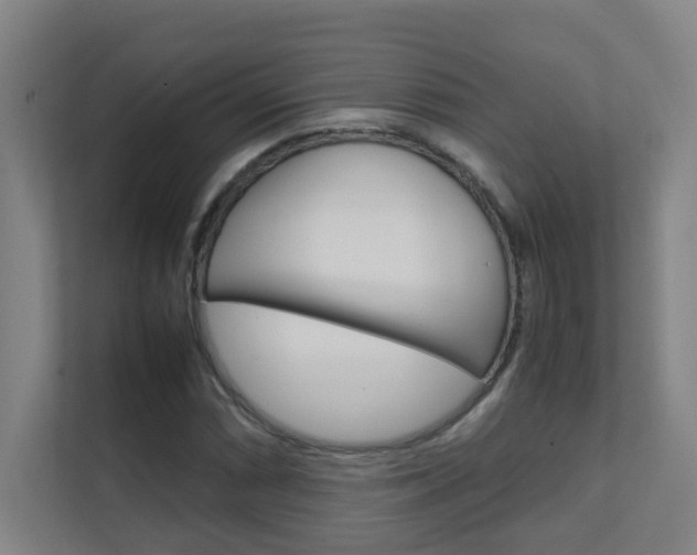 X0000112371066200908131250