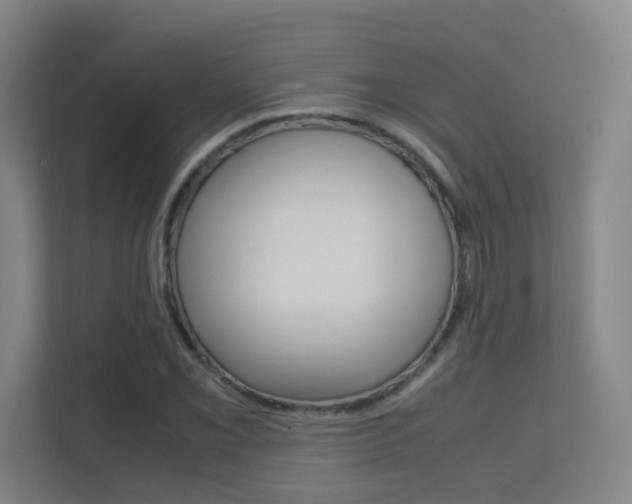 X0000112371069200908131250