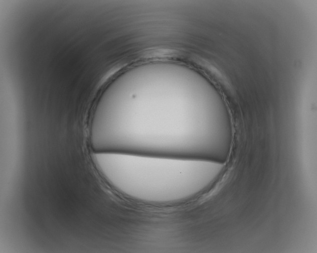 X0000112371073200908131250