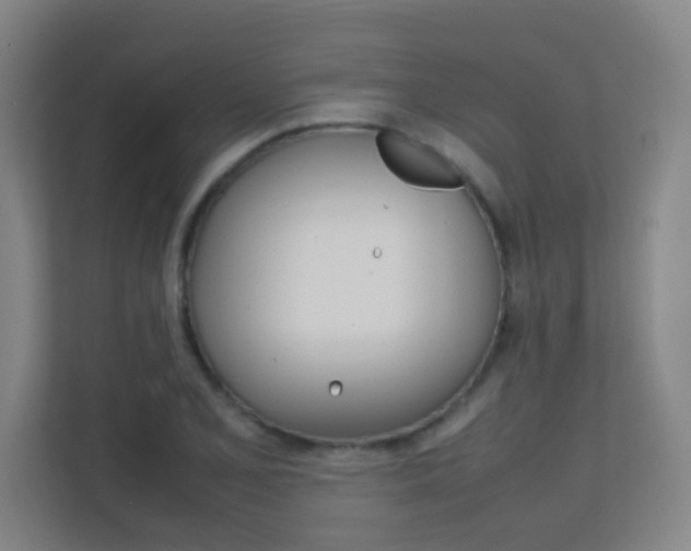 X0000112371077200908131250