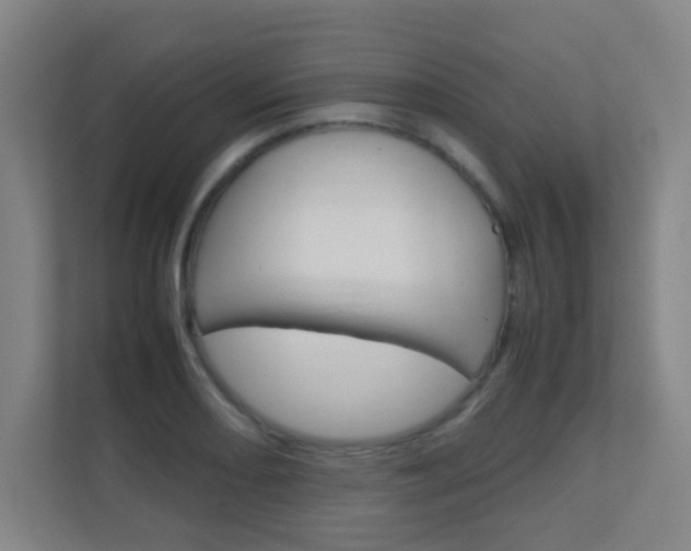 X0000112371082200908131249