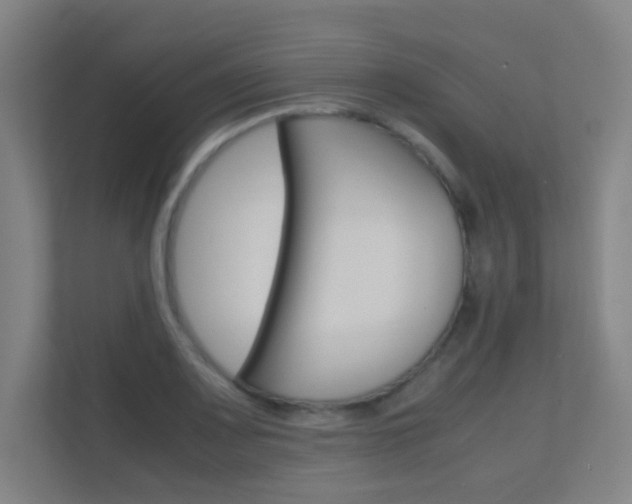 X0000112371083200908131249