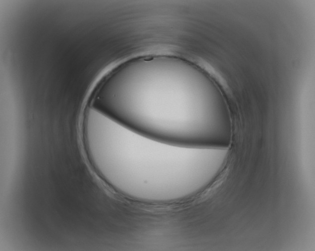 X0000112371085200908131249