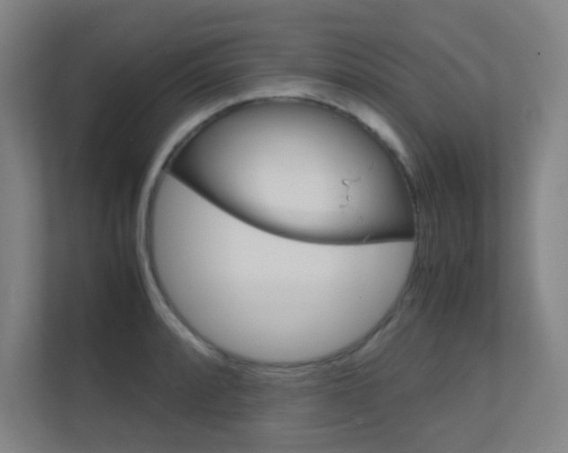 X0000112371088200908131249