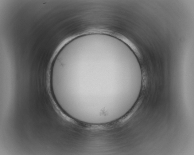 X0000112371094200908131249