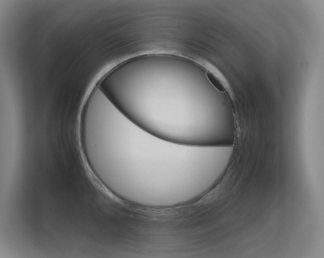 X0000112371096200908131249