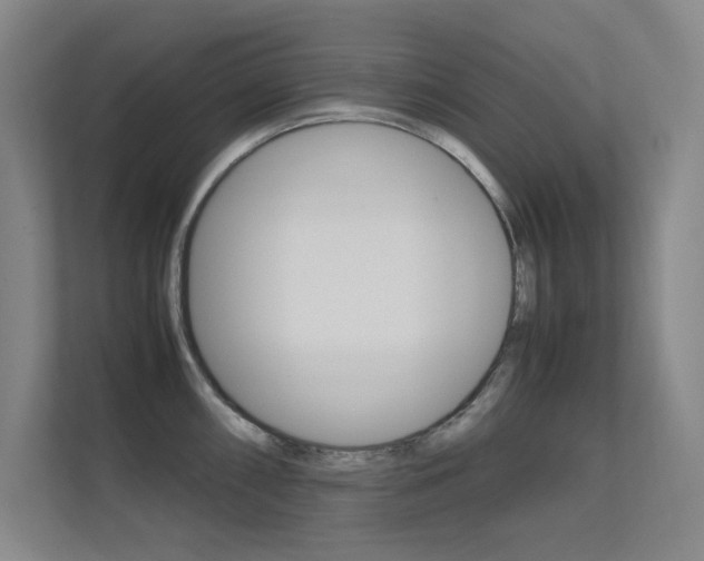 X0000112371098200908131249