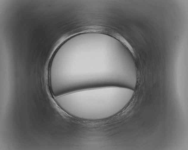 X0000112371099200908131249