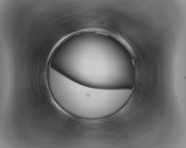 X0000112371100200908131249