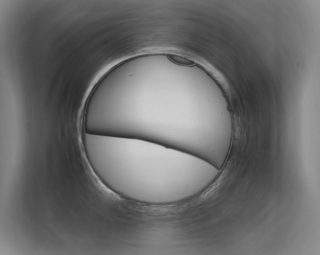 X0000112371102200908131249