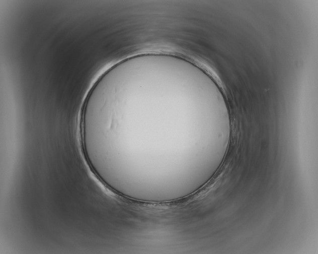 X0000112371103200908131249