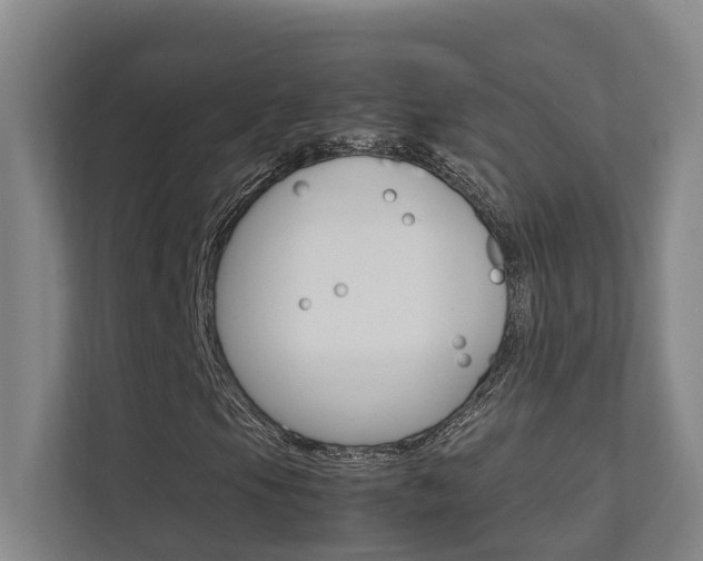 X0000112371105200908131249