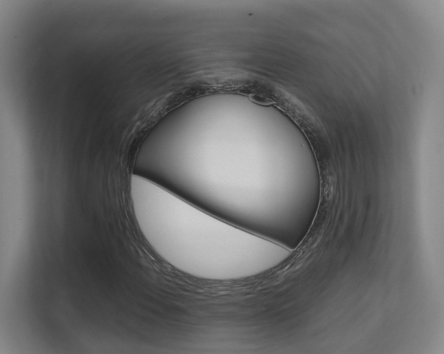 X0000112371108200908131249